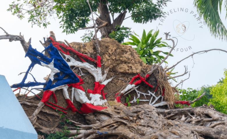 Fallen Tree after Hurricane Maria in Puerto Rico