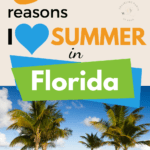 Florida Summer