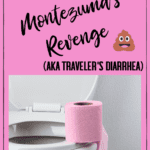 Traveler's Diarrhea