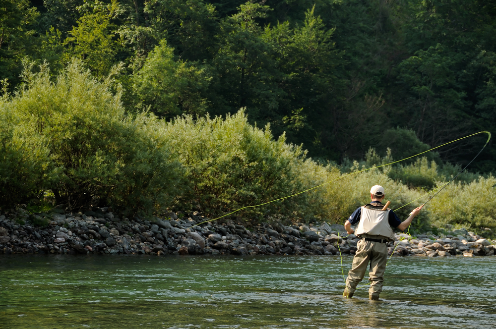 Things to do in Blue Ridge.  Man fly fishing on a mountain river.