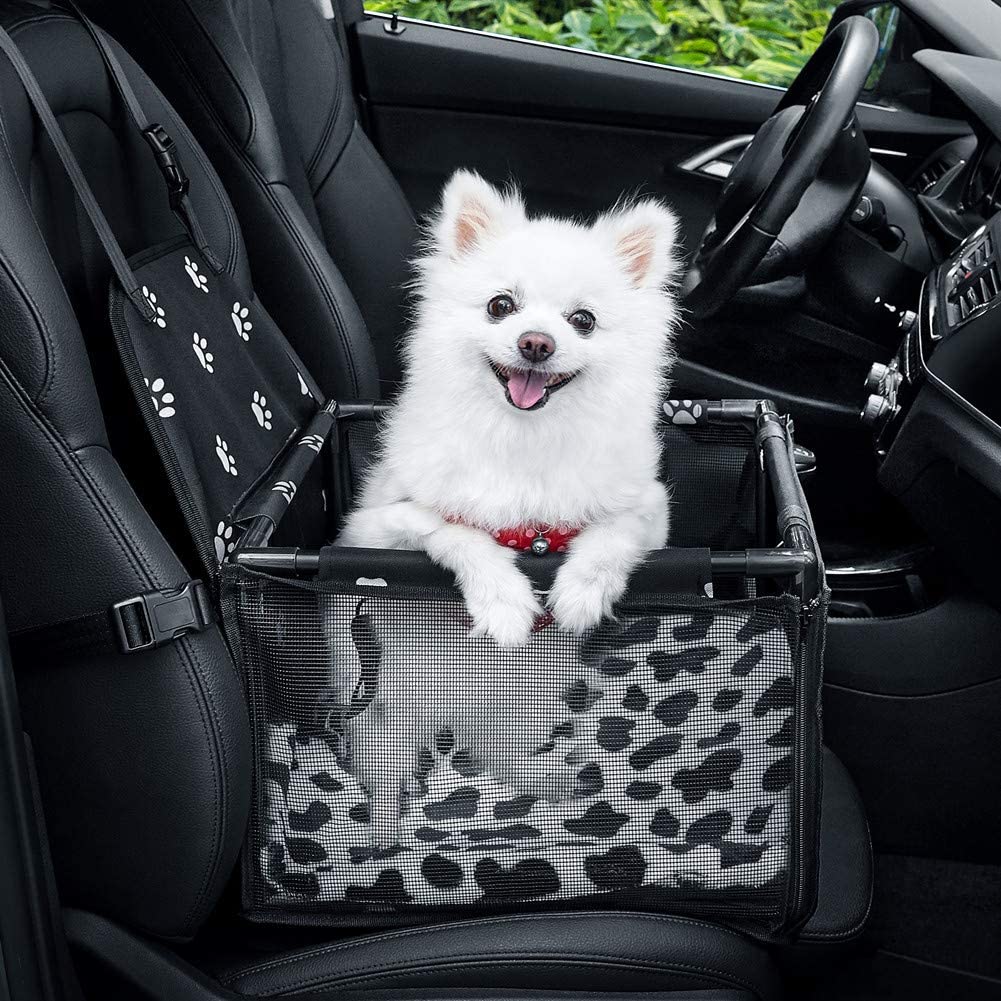 Dog road trip travel essentials
Dog in a car carrier