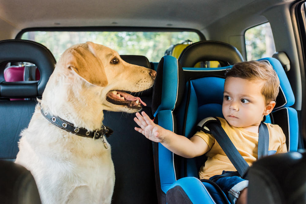 Summer Vacation Safety Tips.
Child in car seat next to dog on a road trip.