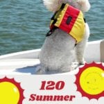 summer vacation safety tips