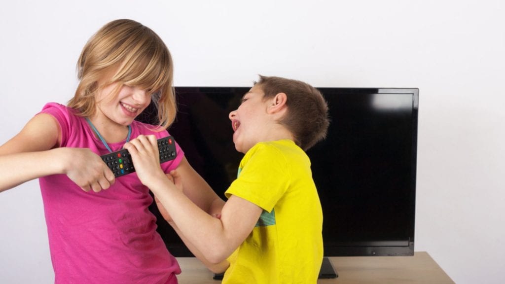 Summer staycation ideas to avoid kids Fighting for the TV remote control