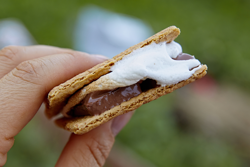 Homemade Smores with Marshmallows, Chocolate and Graham Crackers.
Teenage summer bucket list ideas.