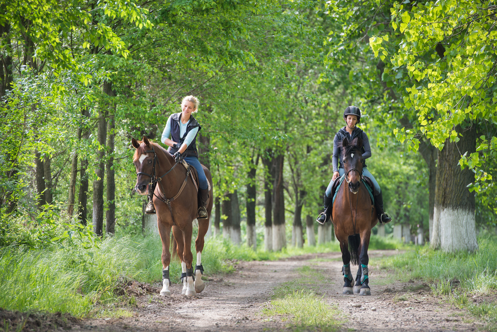 Summer Bucket List Ideas for Teens.
Two a young girls on horseback riding.