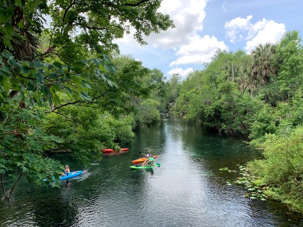 Summer Staycation Ideas.  
Kayaking the springs in Florida
