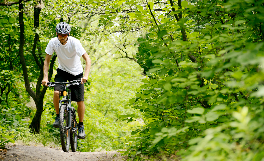 Stress-Free Travel Tips.
Cyclist Riding the Bike on the Trail in the Beautiful Summer Forest