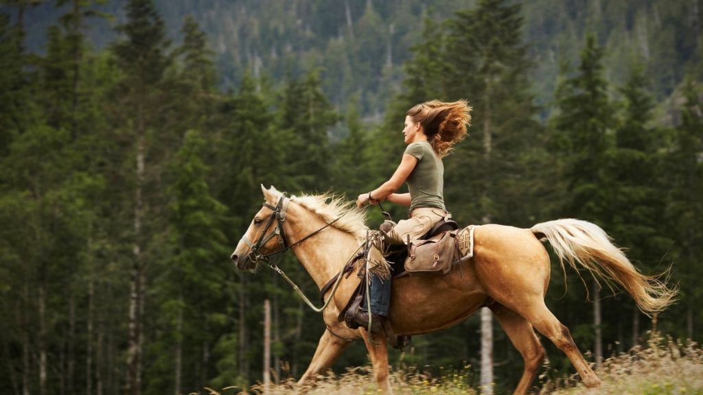 Traveling with Family Quotes.
Woman horseback riding freely in the forrest.