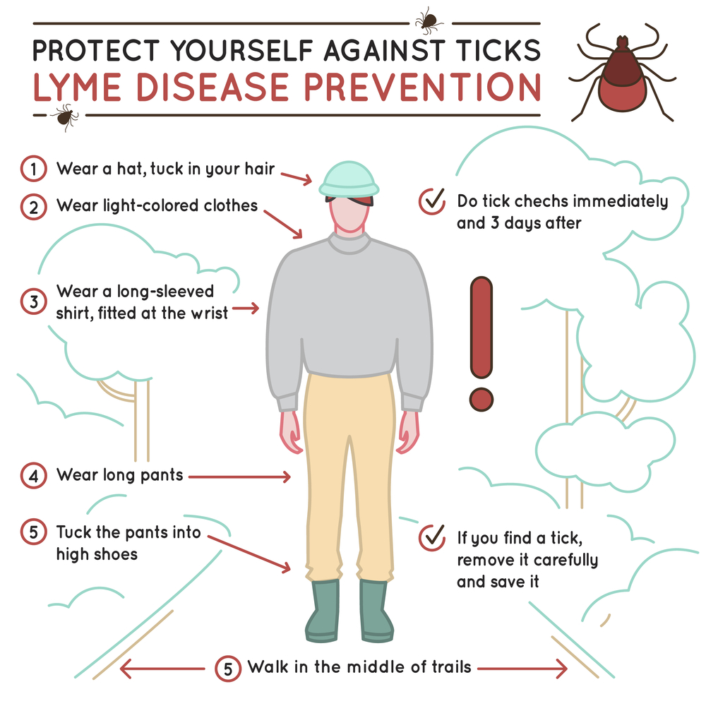 Things to do in Blue Ridge, Georgia.
Protect yourself against ticks. Lyme disease prevention poster. Human skin parasite. Danger for health from tick bite, borreliosis infection. Editable vector illustration in simple outline style.