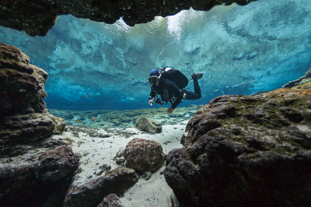 Outdoor Activities Gainesville FL.
Divers underwater caves diving Ginnie Springs Florida USA