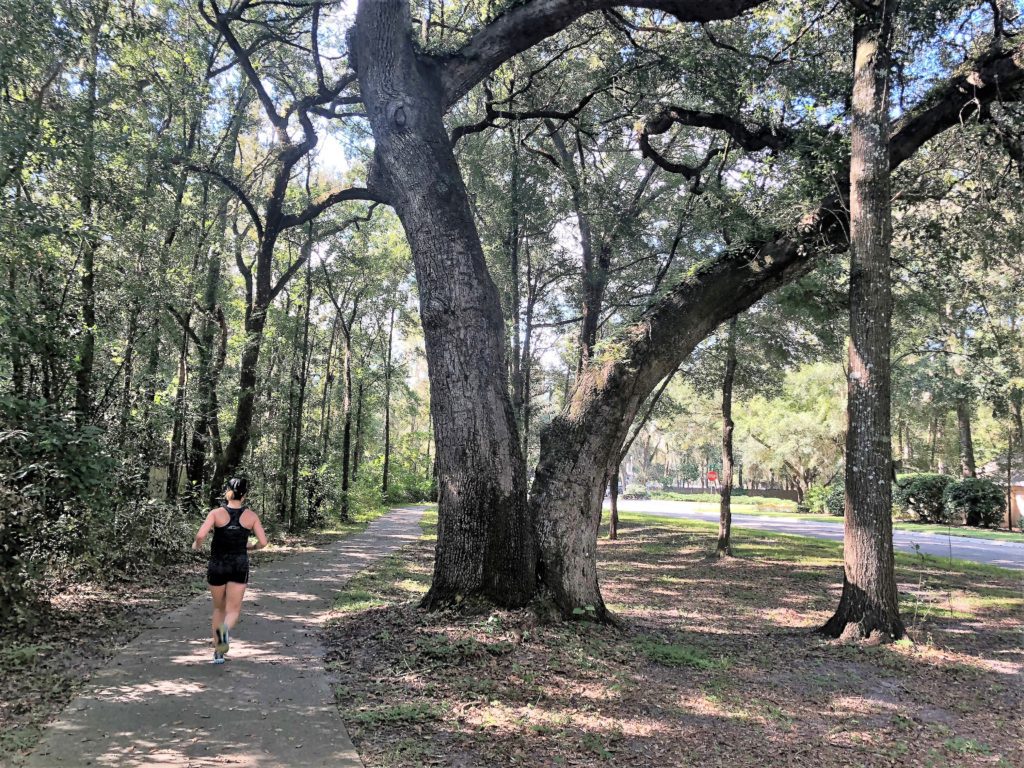 Things to do in Gainesville, FL.
Woman jogging the trail in Haile