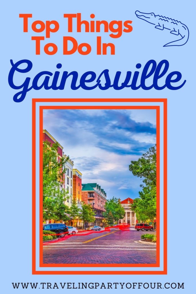 Things To Do In Gainesville Florida