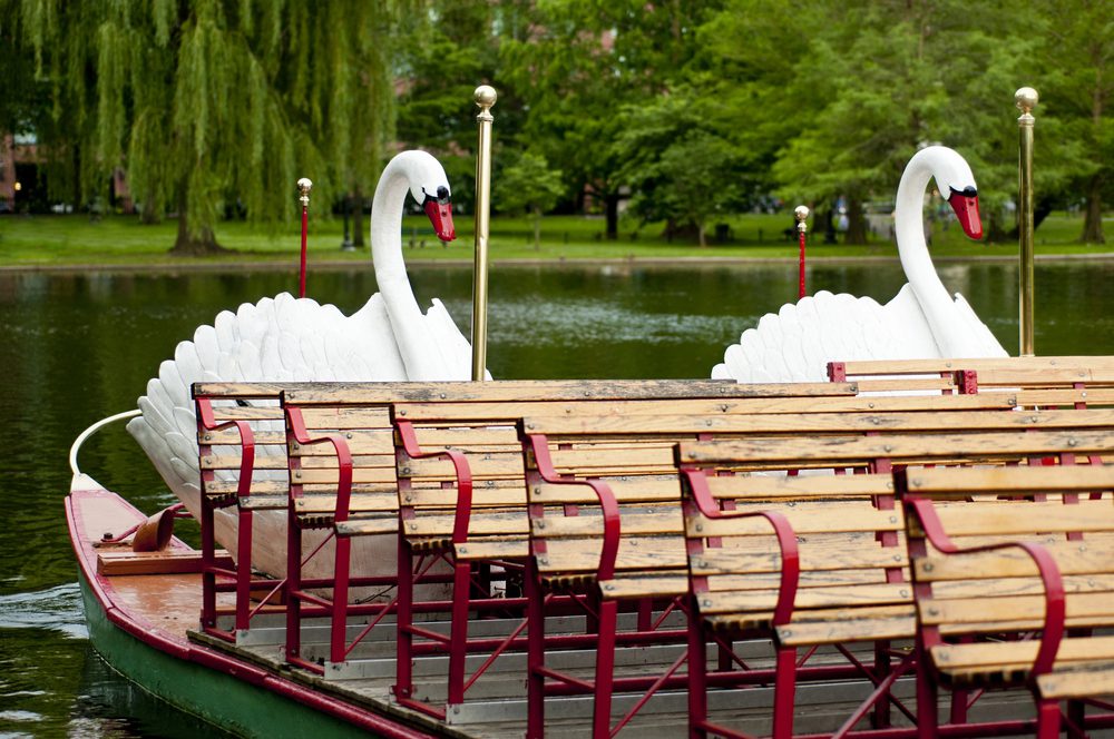 Cheap Things to Do in Boston: Swan Boat